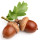 Acorn note image
