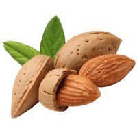 Almond