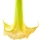 Angel's Trumpet note image