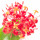 Ashoka Flower note image