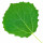 Aspen note image