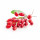 Barberry note image