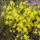 Beachheather note image