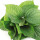 Betel Leaf note image
