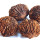 Black Walnut note image