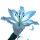 Blue Lilies note image