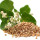 Buckwheat note image