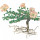Bushman Candle note image