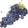 Cabernet Grape note image