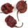 Carolina Reaper note image