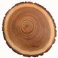 Cedar