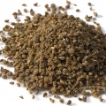 Celery Seeds note image