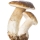 Cepes note image