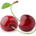 Cherry extract