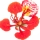 Christmas Tree or Flame Tree note image