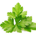 Cilantro note image