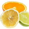 Citrus and Floral Notes