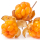Cloudberry note image