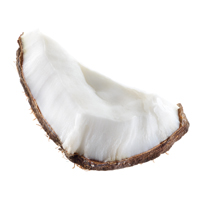 Coconut