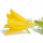 Cucumber Flower note image