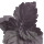 Dark Patchouli note image