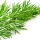Dill note image