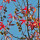 Estoraque note image
