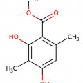 Evernyl note image