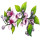 Fig Blossom note image