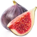 Fig Wood Bark