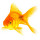 Fish note image
