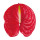 Flamingo Flower (Anthurium) note image