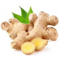 Ginger Leaf