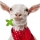 Goat Hair note image