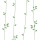 Green Branches