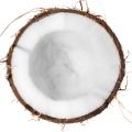 Green Coconut