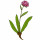 Green Nard note image