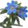 Gromwell note image