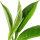 Gyokuro Tea note image