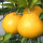 Hassaku note image