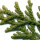 Hiba note image