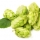 Hops note image
