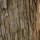 Ironwood note image