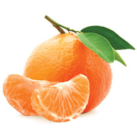 Italian Mandarin