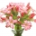 Jade Flower note image