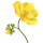 Jarana Flower note image