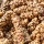 Kopi Luwak Coffee note image