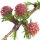 Larch note image