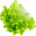 Lettuce note image