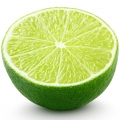 Limewood